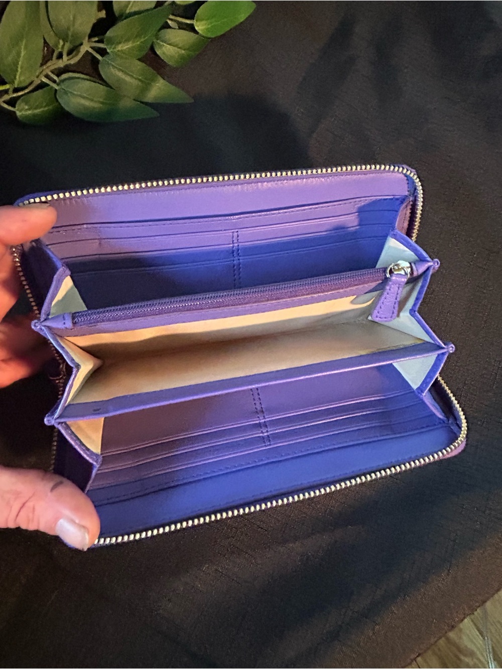Coach Beige Signature Zip Wallet with Purple Trim - Picture 9 of 15